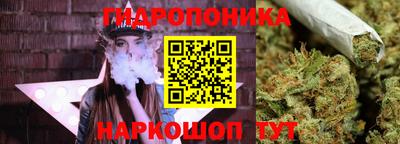 PSILOCYBIN Кунгур